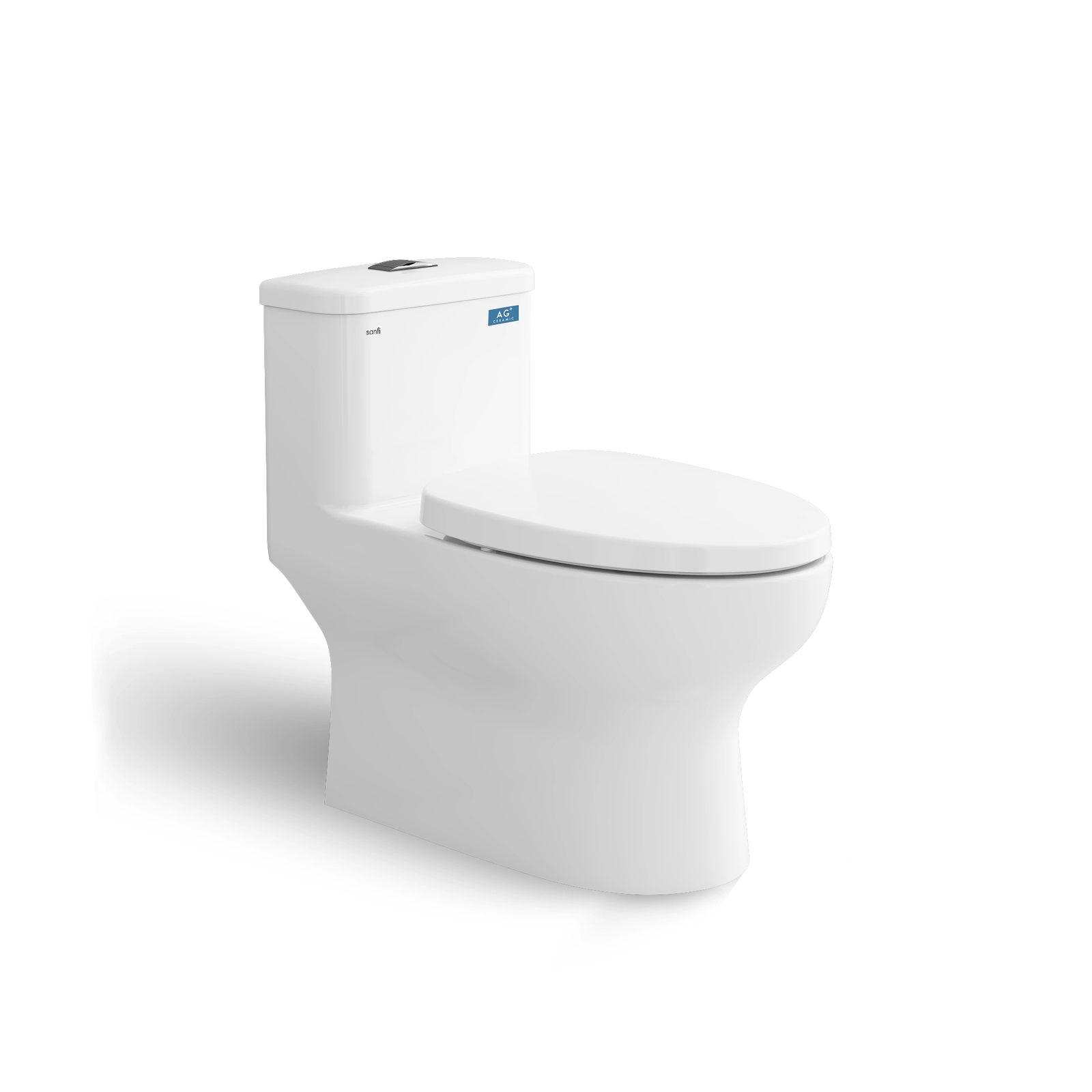Bệt S309