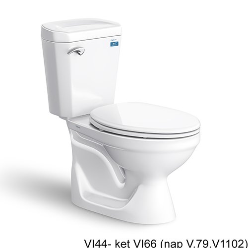 Bệt VI44