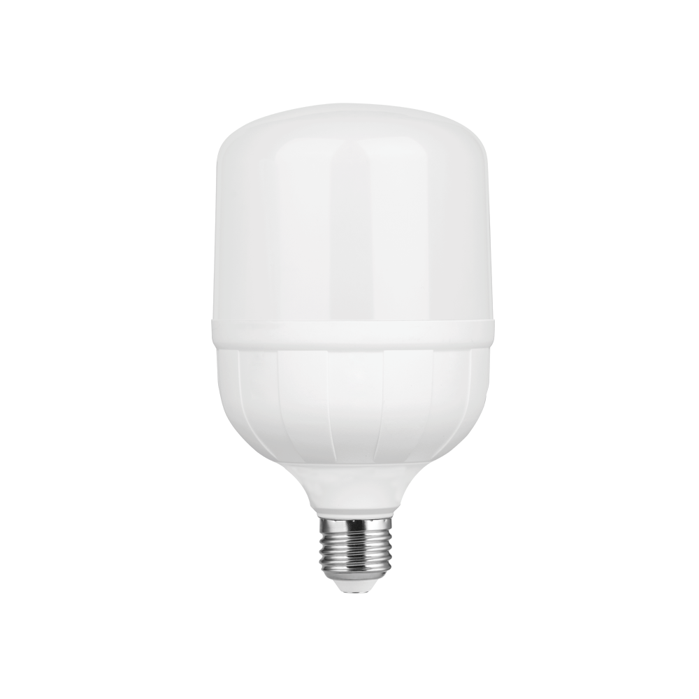 Bóng ELB7056/7W Roman